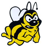 Medina City Schools Battling Bee 